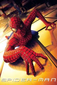 Spider-Man 2002 Full Movie Watch Online