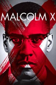 Malcolm X 1992 Full Movie Watch Online