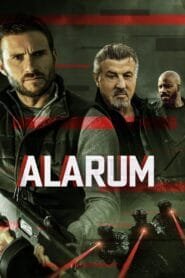 Alarum 2025